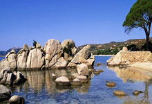 再见！穆勒留给拜仁的不只是进球和助攻更是忠诚与时间本身的简单介绍