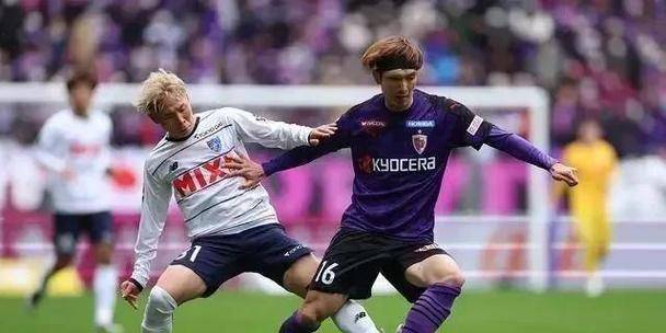 关于阿尔希拉尔多线作战阵容调整，保证体能充沛的信息
