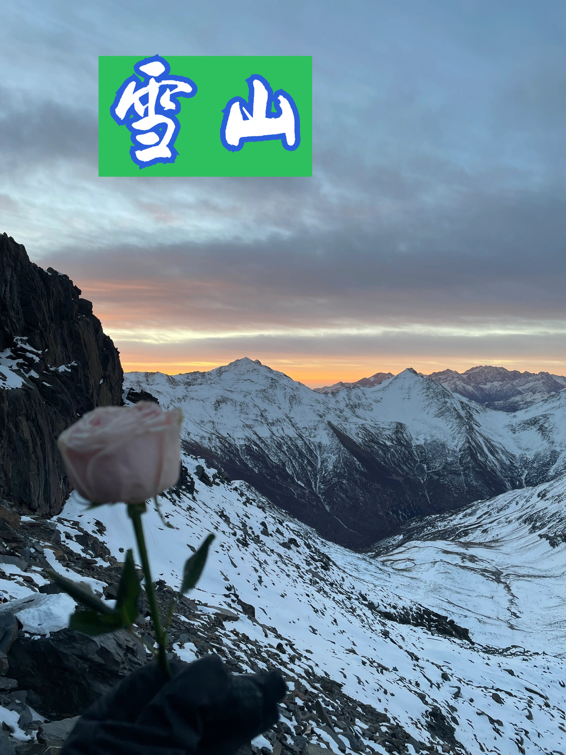 队员誓死抗争，战胜困难获得耀眼光芒的简单介绍